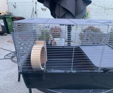 hamster cage