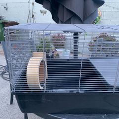 hamster cage