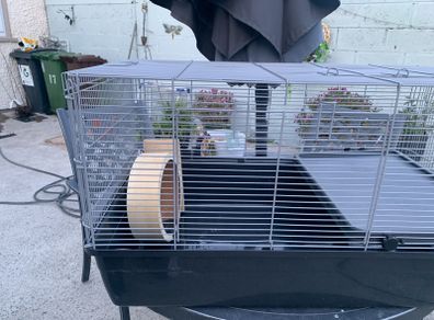 hamster cage