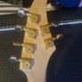 Caparison Horus Made in Japan Image 5