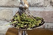 New bespoke 15cm high Jeeves the hare butler with tray and dried moss