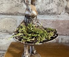 New bespoke 15cm high Jeeves the hare butler with tray and dried moss