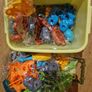 Dinosaur Re Assembly Playset Image 4