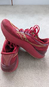 Saucony Endorphin Pro Runners