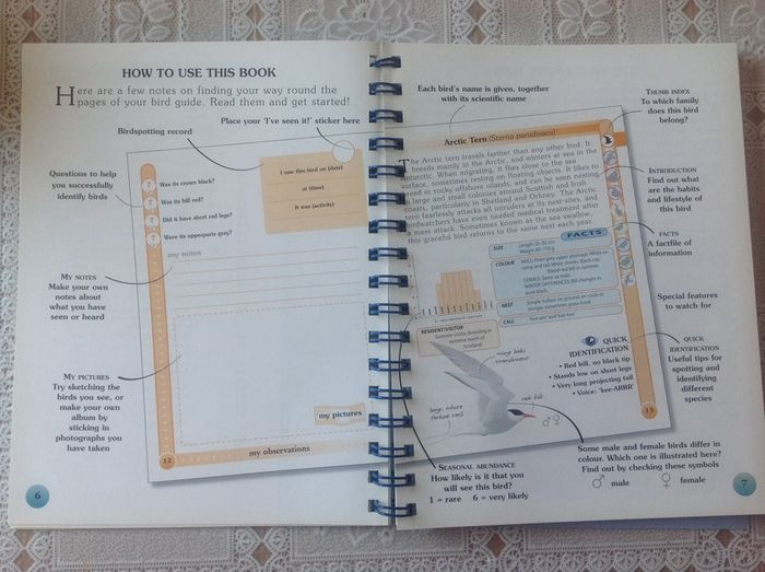 Coastal & Sea Birds Handbook