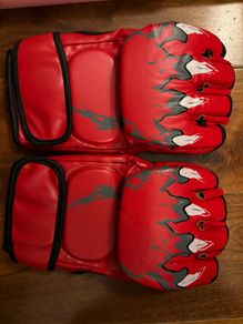 Boxing / training gloves