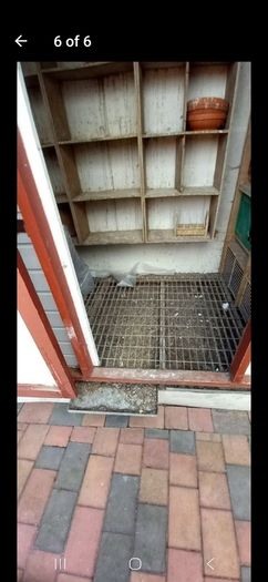 Pigeon loft