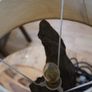 Bog Oak Sentinel_Bog Oak Table Lamp Image 6