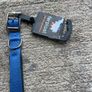 dog collar Image 2