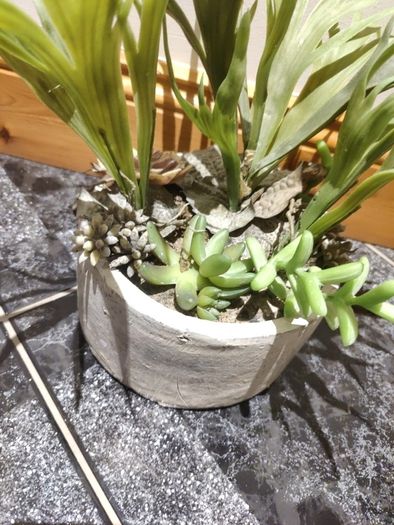 seculent pot