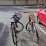 High Nelly Bike - Claude Butler Image 3