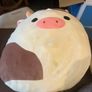 Collection of four Squishmallows plush toys, plus Micromallows Image 2