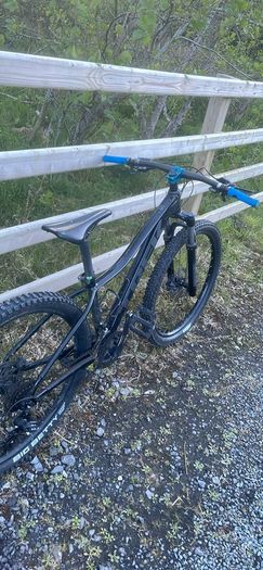 Trek marlin
