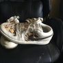 Jordan 1 low Quai 54 Image 2