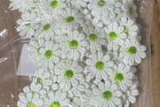 Brand New 5 Yard 25mm Flower Lace Ribbon.