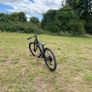 Orbea Lauffe hardtail MTB Image 8