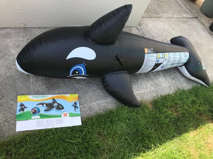 Free - inflatable whale