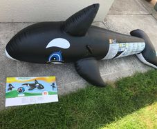 Free - inflatable whale