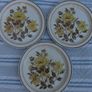 Shannon Iron Stone Lakewood Plates x 5 Image 2