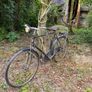 Vintage Rudge Bicycle. Image 4