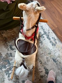 Adorable Rocking Horse with Realistic Sounds - Ready for New Adventures