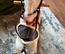 Adorable Rocking Horse with Realistic Sounds - Ready for New Adventures