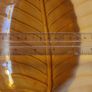 Vintage Orange 70's Leaf Shaped Plastic Bowls x 4 Image 4