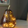 vase light Fruit Image 2