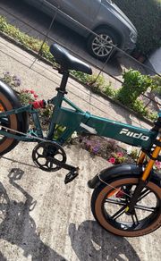 Fiido M1 Pro