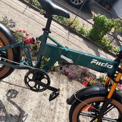 Fiido M1 Pro