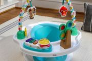 baby einstein