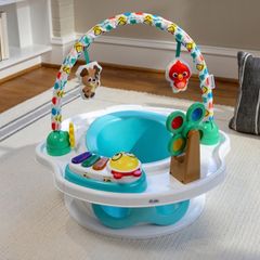 baby einstein