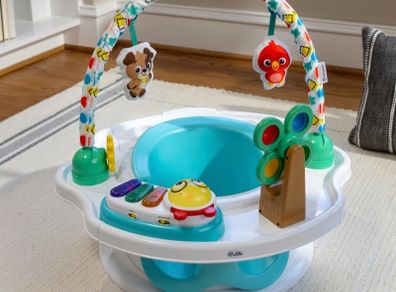 baby einstein