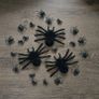 Several black spiders Image 2