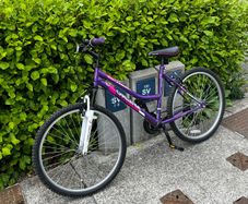 Women's Bike
