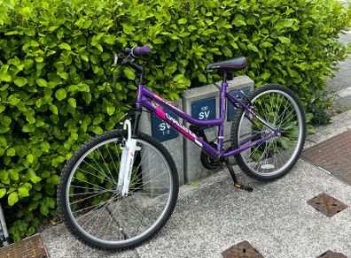 Women's Bike