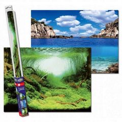 Plants - Ocean background 60x30cm