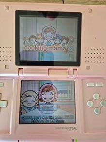 Nintendo ds
