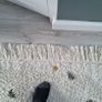 Rug Image 3
