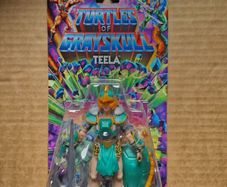 Turtles of Grayskull Teela Brand new sealed Bargain
