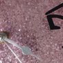 Pink glitter Silver wall clock Image 4