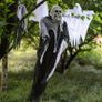 Skull Head Ghost Scary Halloween Decoration Image 2