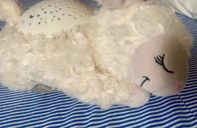 Summer Slumber Night Light Projector with Sounds