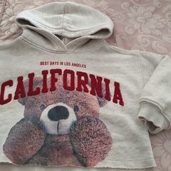 Zara hoodie