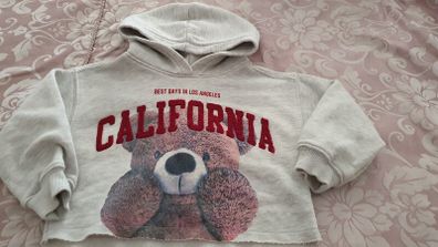 Zara hoodie