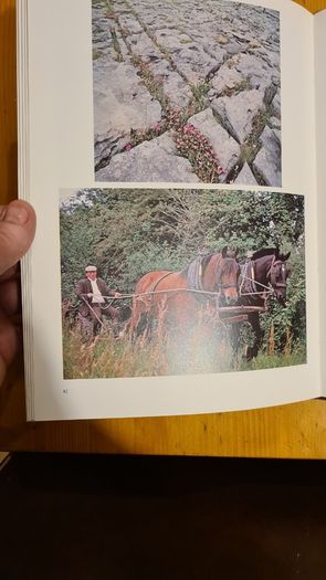 The Country Life Picture Book Of Ireland. Beautiful Large Volume Hardback In Very Good Condition. 32.