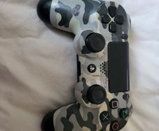 ps4 Camouflage controller