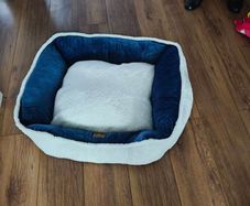 Dog bed