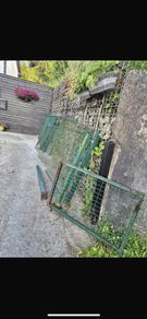 dog run