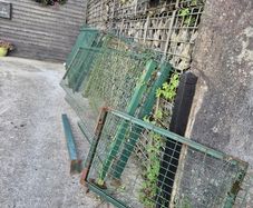 dog run